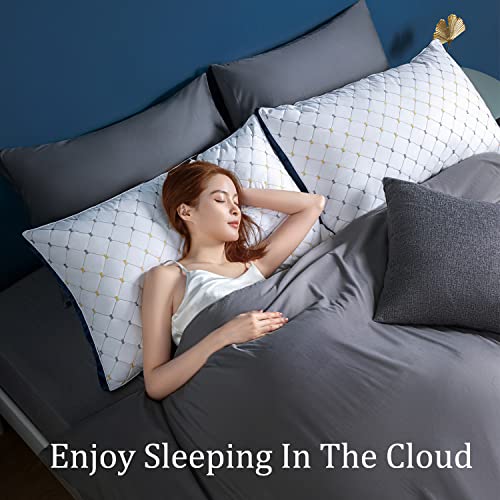 Experience Five-Star Luxury with AiAngu Hotel Luxury Pillows