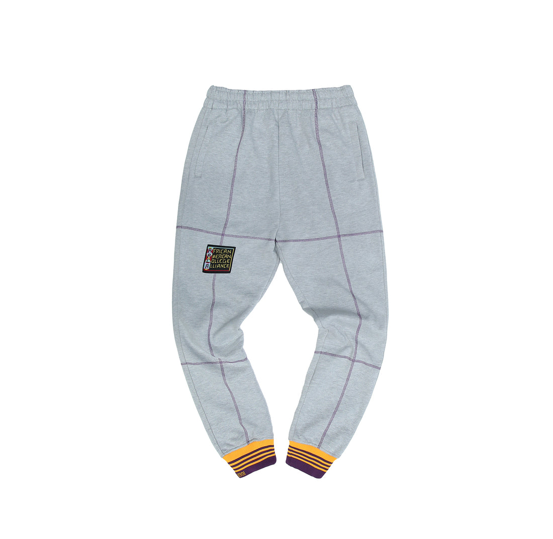 AACA Fresh 93 Frankenstein Jogger MDH.Grey / Purple / Gold
