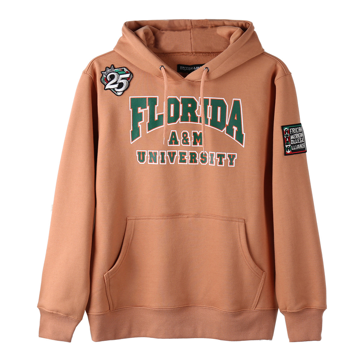 AACA Florida Hoodie | Butterrum Florida A&M University Classic Hoodie alternate product image
