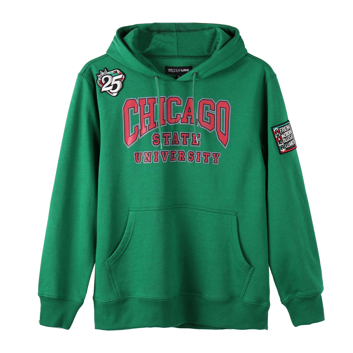 AACA Chicago Hoodie | Green Chicago State University Classic Hoodie alternate product image