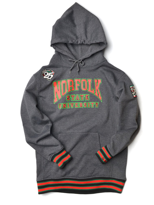 FTP Norfolk State University Classic 91 Hoodie Charcoal Grey Classic Hoodie white background product image