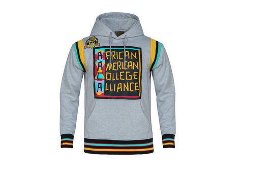 30th Anniversary FTP AACA Hoodie MDH.Grey Classic Hoodie white background product image