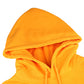 AACA Classic 91 Hoodie Old Gold Classic Hoodie detail image