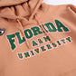 AACA Florida Hoodie | Butterrum Florida A&M University Classic Hoodie detail image
