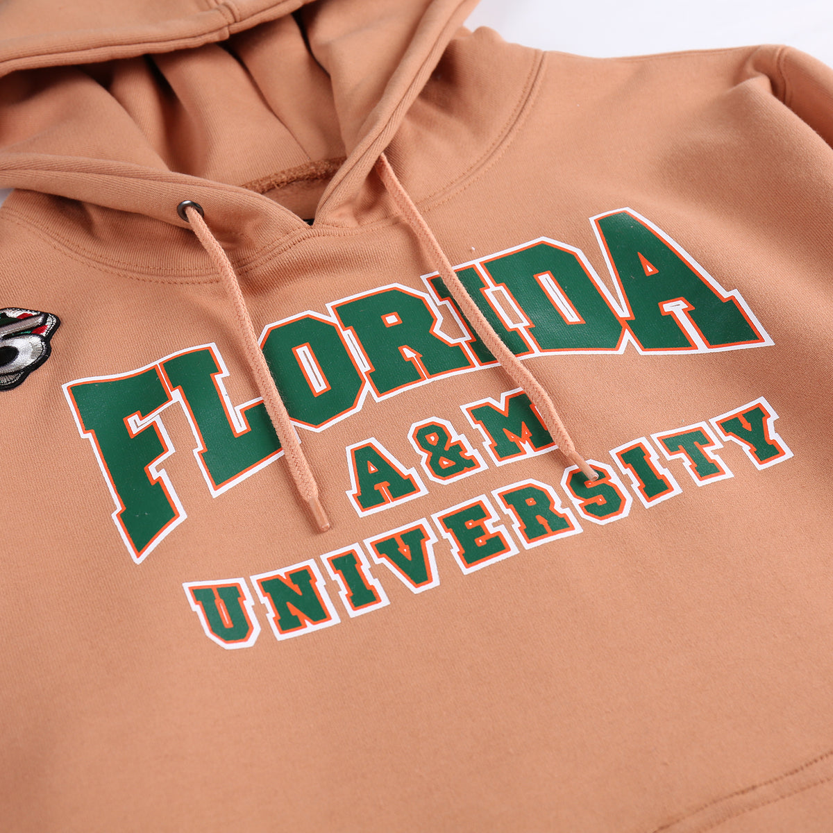 AACA Florida Hoodie | Butterrum Florida A&M University Classic Hoodie detail image