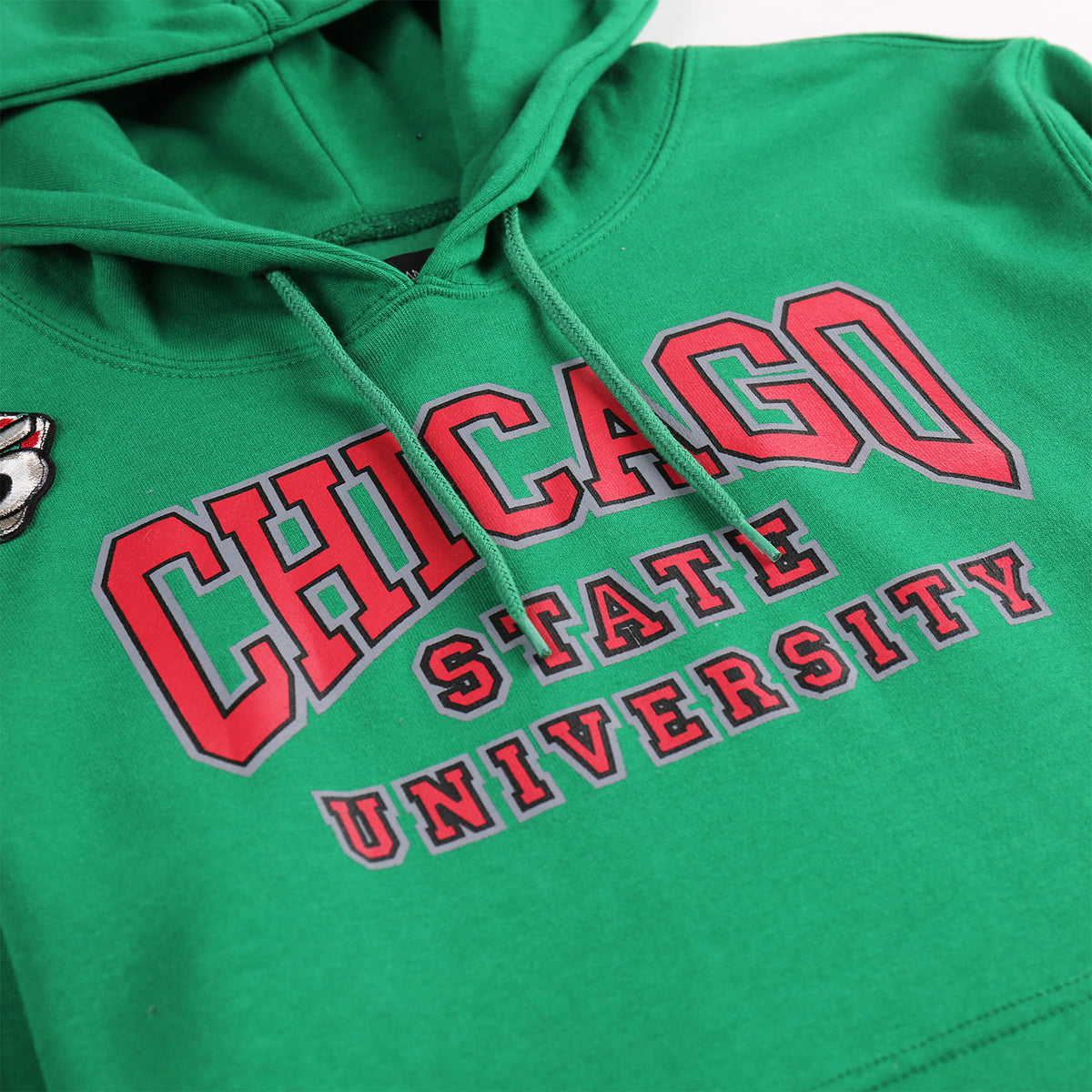 AACA Chicago Hoodie | Green Chicago State University Classic Hoodie detail image