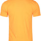 Medgar Evers College AACA Classic 91 T-Shirt Gold Classic Tee alternate product image