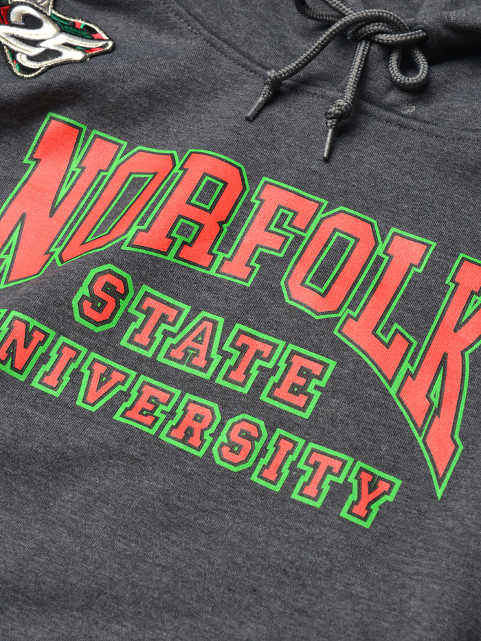 FTP Norfolk State University Classic 91 Hoodie Charcoal Grey / Kelly Green Classic Hoodie detail image