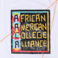 Originals' AACA Classic T-Shirt White / Gold Classic Tee detail image
