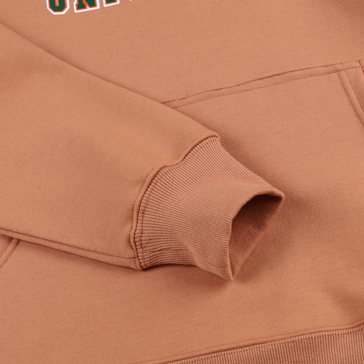 AACA Florida Hoodie | Butterrum Florida A&M University Classic Hoodie detail image