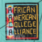Originals' AACA Classic T-Shirt Teal / Black Classic Tee detail image