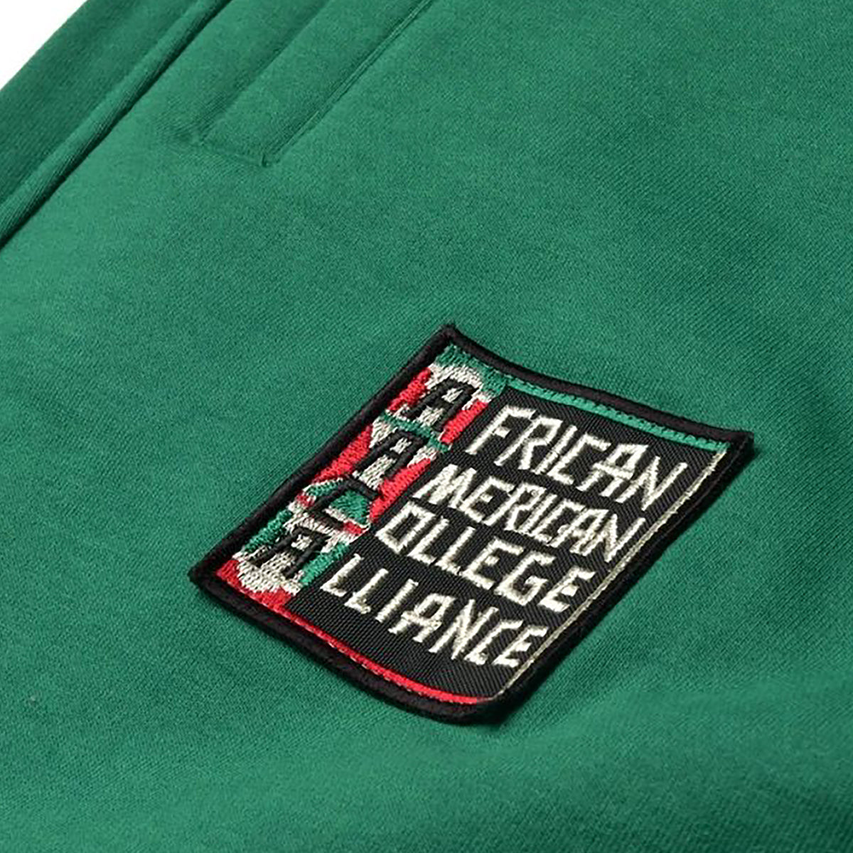 FTP AACA Classic 91 Sweatpants Kelly Green Chicago State University Classic Sweatpants detail image