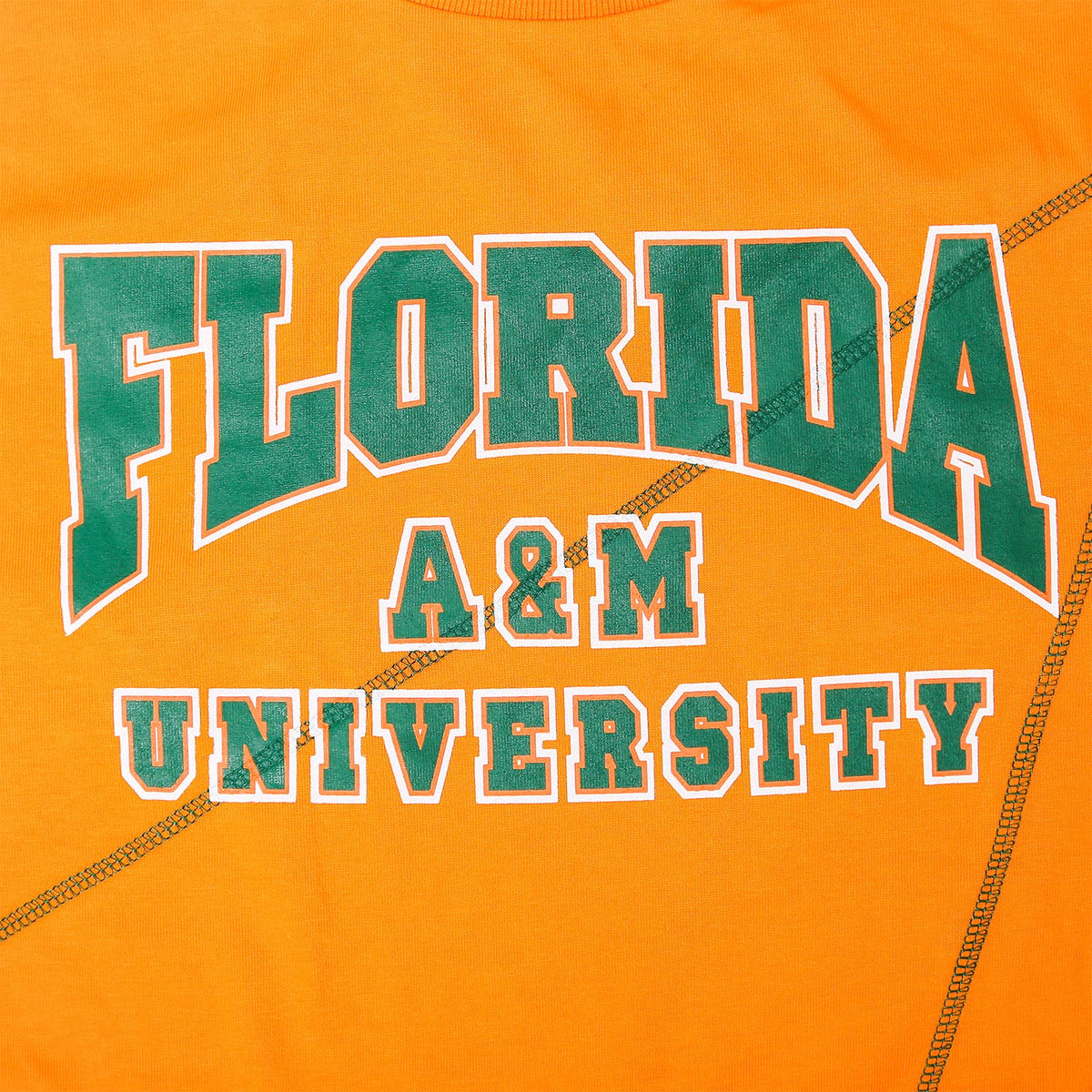 Florida A&M University Originals' AACA Classic T-Shirt Orange / Green Classic Tee detail image