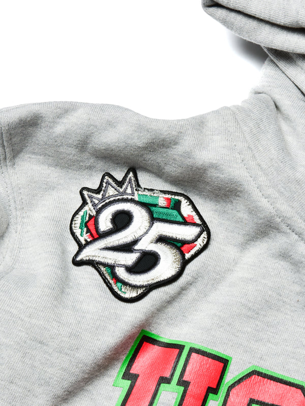 FTP Howard University 92 Frankenstein Stitched Hoodie MDH.Grey / Black Frankenstein Hoodie detail image