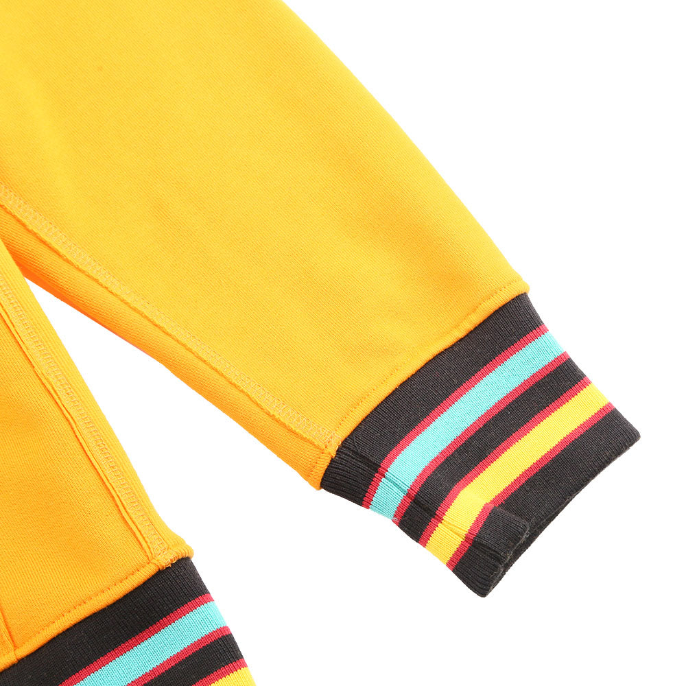 AACA Classic 91 Hoodie Old Gold Classic Hoodie detail image