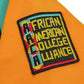 30th Anniversary AACA Frankenstein Stitched Hoodie Gold/Black Frankenstein Hoodie detail image