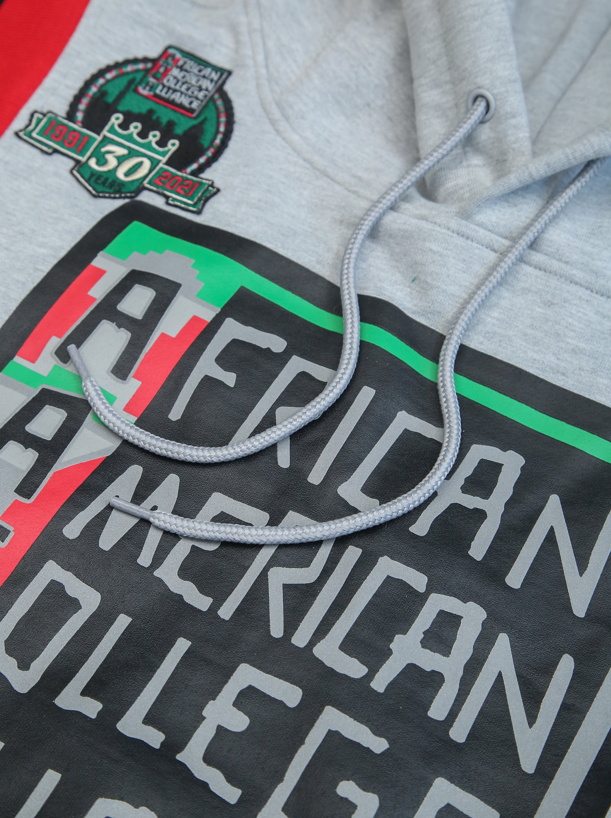 30th Anniversary FTP AACA Hoodie MDH.Grey Classic Hoodie detail image
