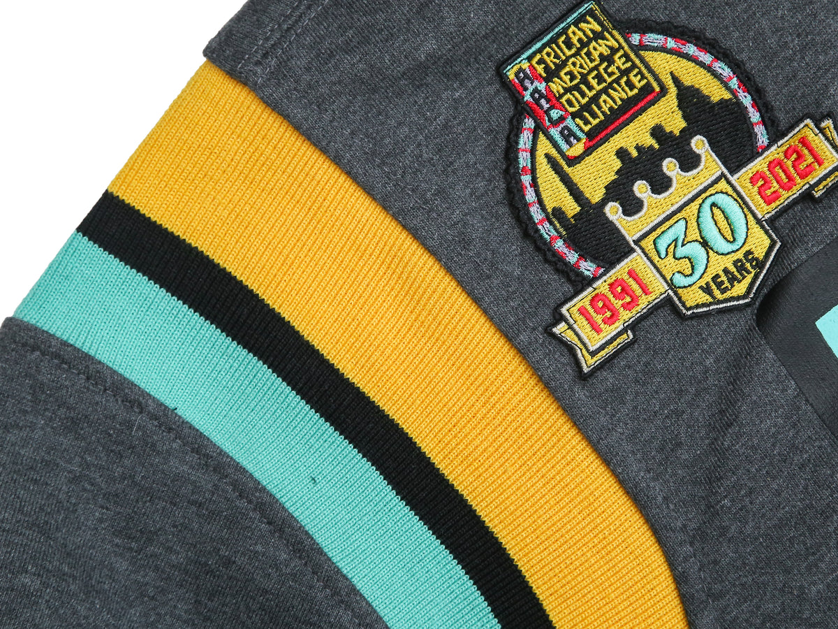 30th Anniversary AACA Frankenstein Stitched Hoodie Charcoal/Black Frankenstein Hoodie detail image